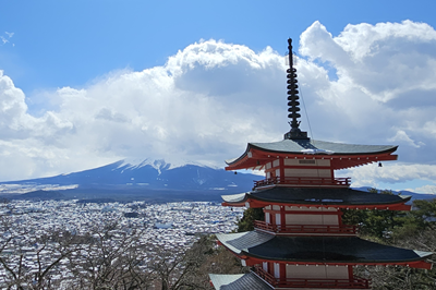 Pacotes Internacionais